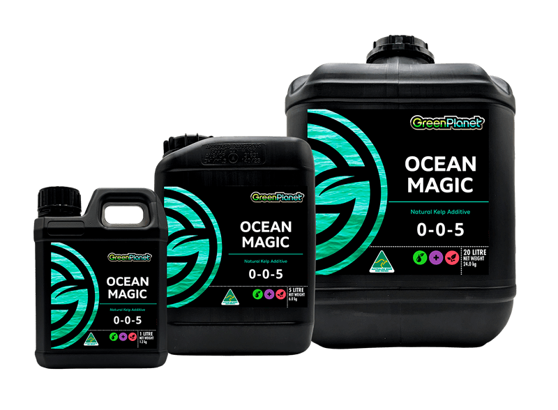 GreenPlanet Ocean Magic